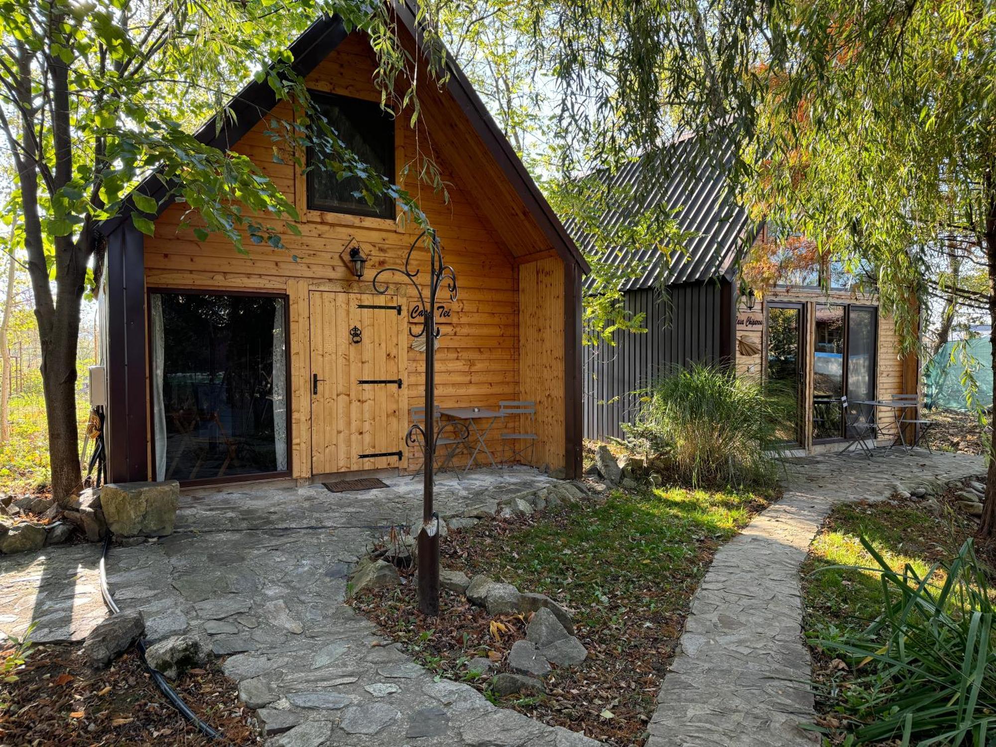 Poenari Conacul Lui Patrick酒店 外观 照片